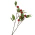 SILK APPLE PLUM CLAUDE RED 76CM NM