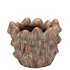 CONCRETE GOLDEN MUSHROOMS POT 14X14X10CM NM