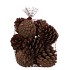 NATURE PINECONE NATURAL ASS P/12