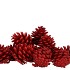 NATURE PINECONE RED GLITTER  ASS P/12