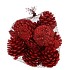NATURE PINECONE RED GLITTER  ASS P/12