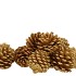 NATURE PINECONE GOLD GLITTER  ASS P/12