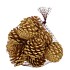NATURE PINECONE GOLD GLITTER  ASS P/12