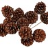 PICK NAT PINECONE NATURAL 50CM ASS P/12