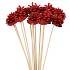 PICK SHINE PINECONE NAT RED GLITTER 50CM ASS P/12