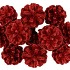 PICK SHINE PINECONE NAT RED GLITTER 50CM ASS P/12