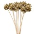 PICK SHINE PINECONE NAT GOLD GLITTER 50CM ASS P/12