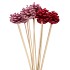 PICK SHINE PINECONE NAT FUCHSIA/PINK GLITTER 50CM ASS P/12NM