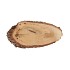 NATURE OAK SLICE OVAL D6-9CM / L10-15CM X 2CM