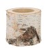 NATURE BIRCH POT D13-15CM X 11CM