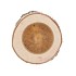 NATURE BIRCH POT D13-15CM X 11CM