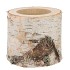 NATURE BIRCH POT D16-19CM X 15CM