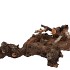 GRAPE WOOD NATURAL 30CM