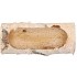 NATURE BIRCH PLANTER 19X10X9CM