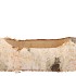 NATURE BIRCH PLANTER 24X10X9CM