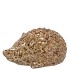 HEDGEHOG GLAZE BROWN 9X6X5CM NM