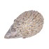 HEDGEHOG GLAZE GREY 9X6X5CM NM