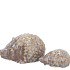 HEDGEHOG GLAZE GREY 9X6X5CM NM