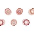 BICOLORE SWEETS PINK BLOOM T-LIGHT ASS 8X15CM