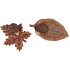 HEDGEHOG LEAF ASS 22X11X4CM