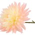 SILK DAHLIA POINTY CHAMPAGNE/LIGHT PINK 65CM NM