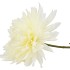 SILK DAHLIA POINTY OFF WHITE 65CM NM