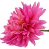 SILK DAHLIA POINTY PURPLE/YELLOW 65CM NM