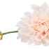 SILK DAHLIA SPIKE CHAMPAGNE 78CM NM