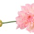 SILK DAHLIA SPIKE WHITE/LIGHT PINK 78CM NM