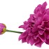 SILK DAHLIA SPIKE PURPLE 78CM NM