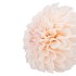 SILK DAHLIA BOLD CHAMPAGNE 68CM NM