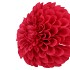 SILK DAHLIA BOLD RED 68CM NM