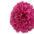 SILK DAHLIA BOLD PURPLE 68CM NM