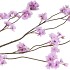 SILK CHERRY BLOSSOM LIGHT PURPLE 126CM NM