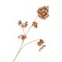 SILK CHERRY BLOSSOM GOLD 85CM NM