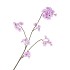 SILK CHERRY BLOSSOM LIGHT PURPLE 85CM NM