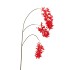 SILK WISTERIA FIERY RED 93CM NM