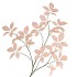 SILK LEAF ELDER CHAMPAGNE 124CM NM