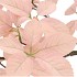 SILK LEAF ELDER CHAMPAGNE 124CM NM