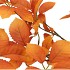 SILK LEAF ELDER ORANGE 124CM NM
