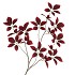 SILK LEAF ELDER DARK RED 124CM NM