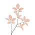 SILK LEAF ELDER CHAMPAGNE 81CM NM
