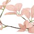SILK LEAF ELDER CHAMPAGNE 81CM NM