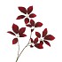 SILK LEAF ELDER DARK RED 81CM NM