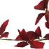 SILK LEAF ELDER DARK RED 81CM NM