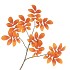 SILK LEAF ROWAN ORANGE 71CM NM
