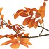 SILK LEAF ROWAN ORANGE 71CM NM