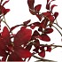 SILK LEAF ROWAN DARK RED 125CM NM