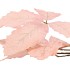 SILK LEAF CHESTNUT CHAMPAGNE 79CM NM