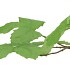 SILK LEAF CHESTNUT GREEN 79CM NM